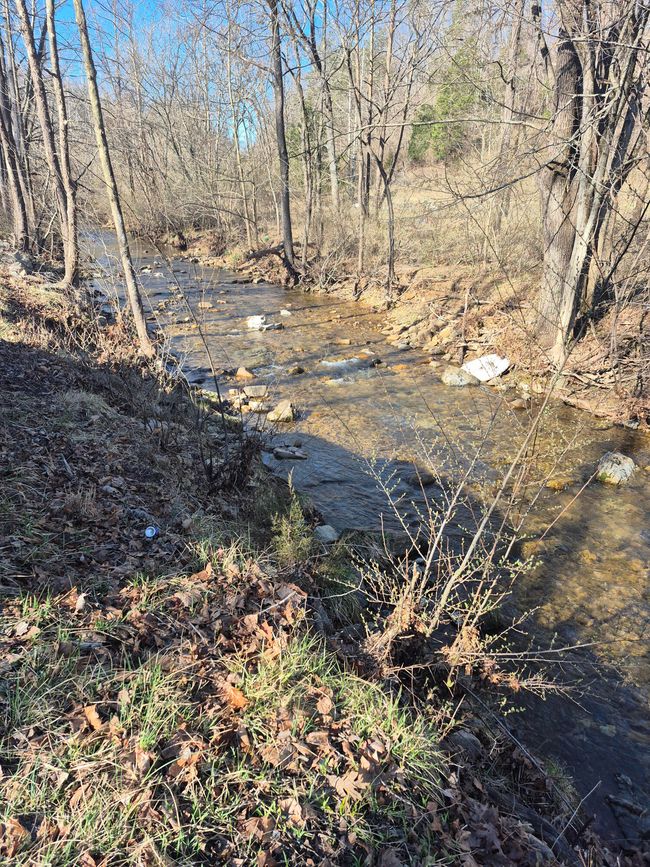 6 | Image 6