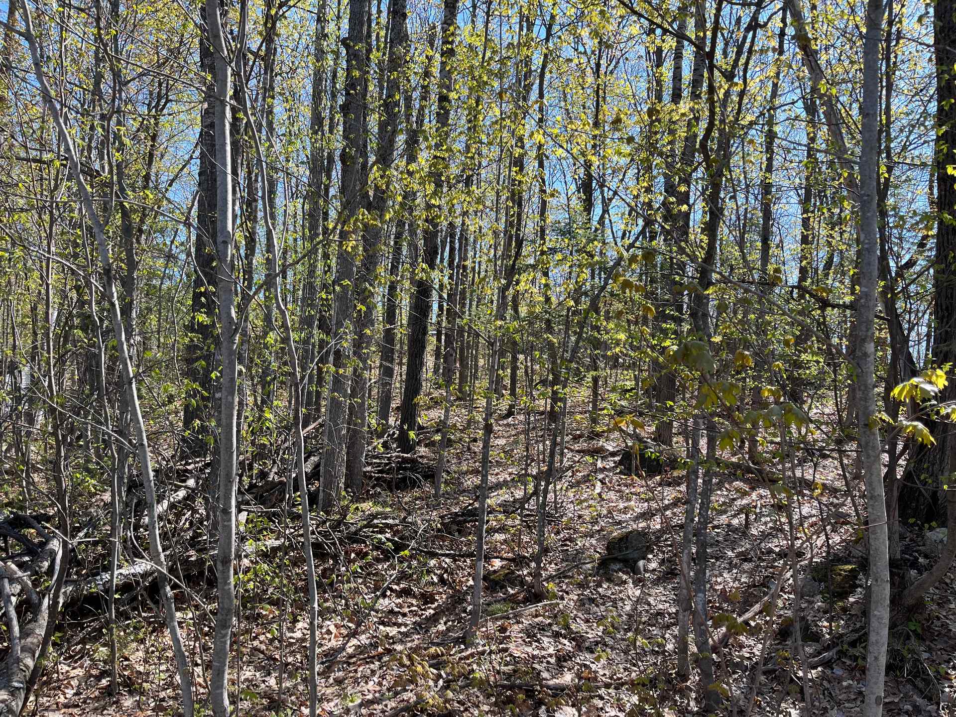 Land in Saint-Lin/Laurentides 5