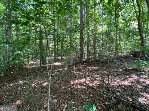 lot 5 Sautee Ridge Road, Clarkesville, GA, 30523 | Card Image