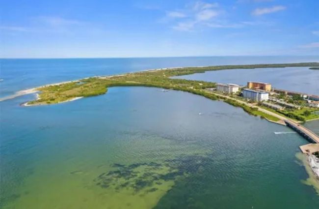 625 Duchess Blvd, Townhouse with 2 bedrooms, 2 bathrooms and null parking in DUNEDIN FL | Image 53