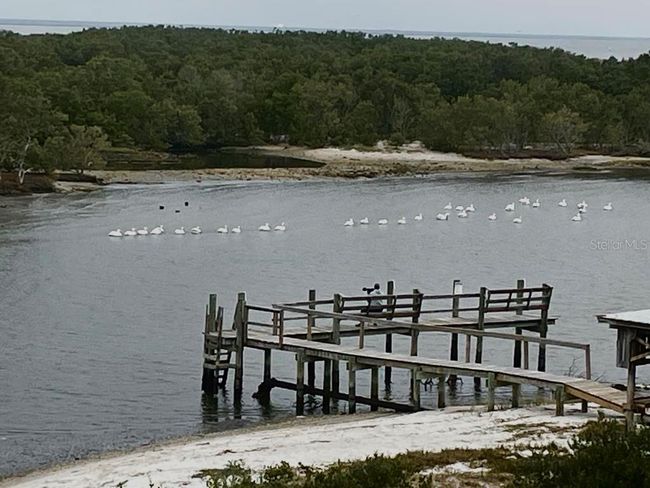 9E - 11 Old Mill Dr, Condo with 2 bedrooms, 2 bathrooms and null parking in Cedar Key FL | Image 26