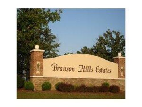 198 Royal Dornoch Dr, Branson, MO, 65616-7414 | Card Image