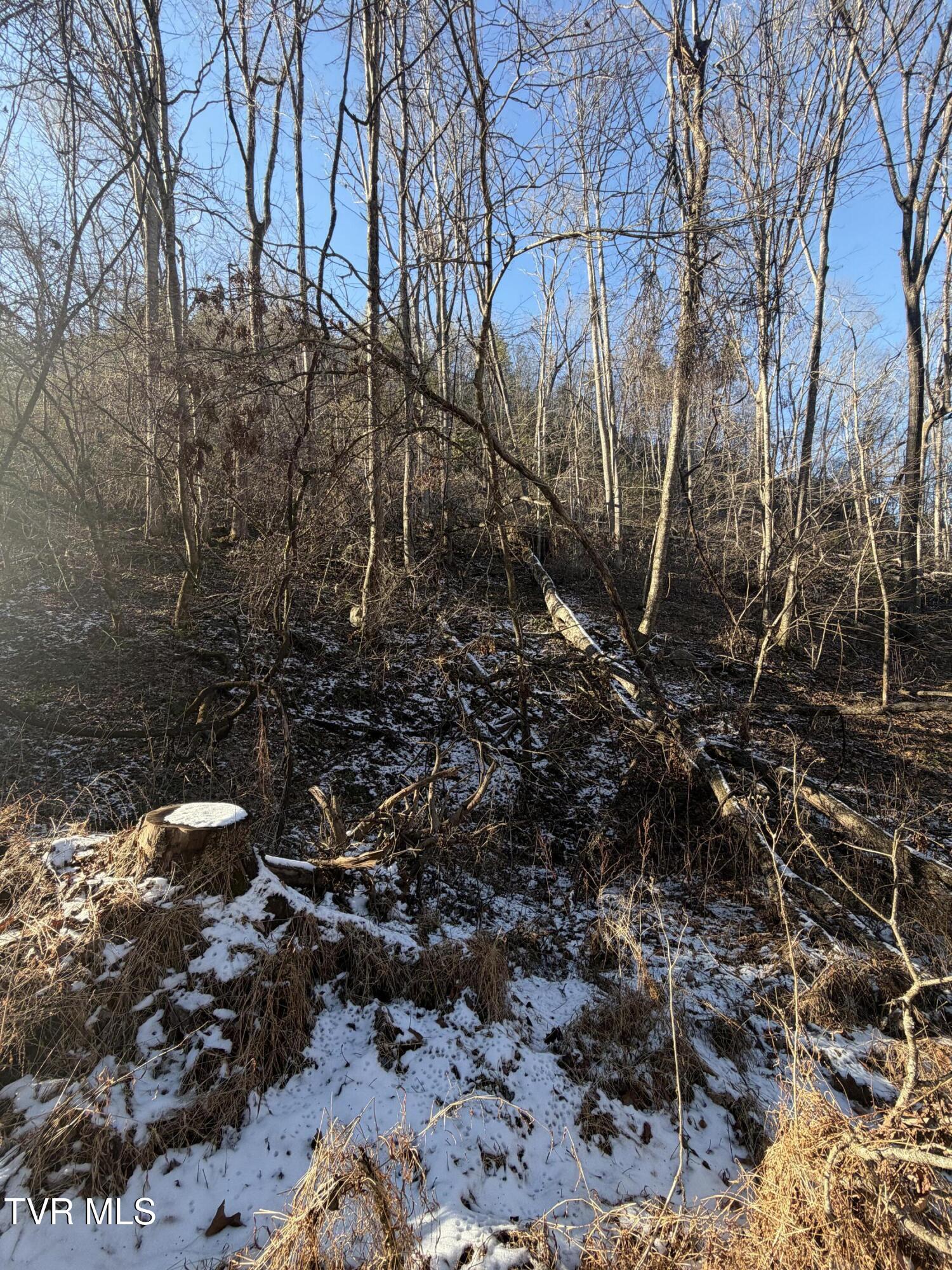 Land in Butler