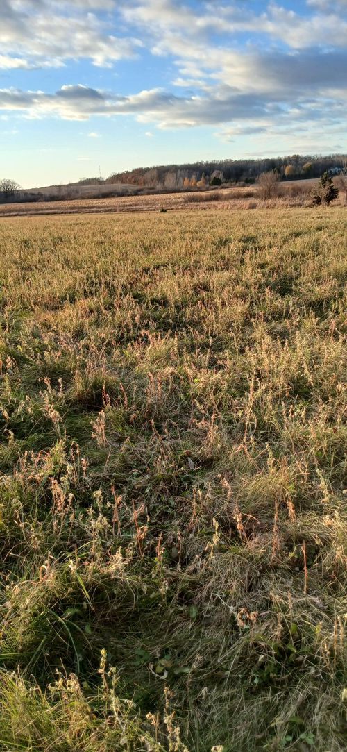 55 Mayhew Lake Rd Ne, Sauk Rapids, MN, 56379 | Card Image