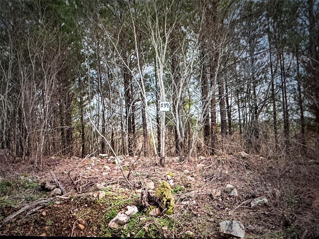 Land in Broken Bow 5