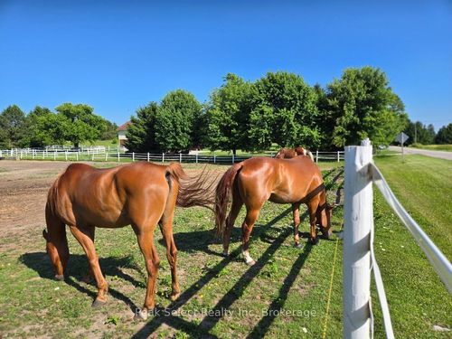20076 Cherryhill Rd, Thames Centre, ON, N0M2M0 | Card Image