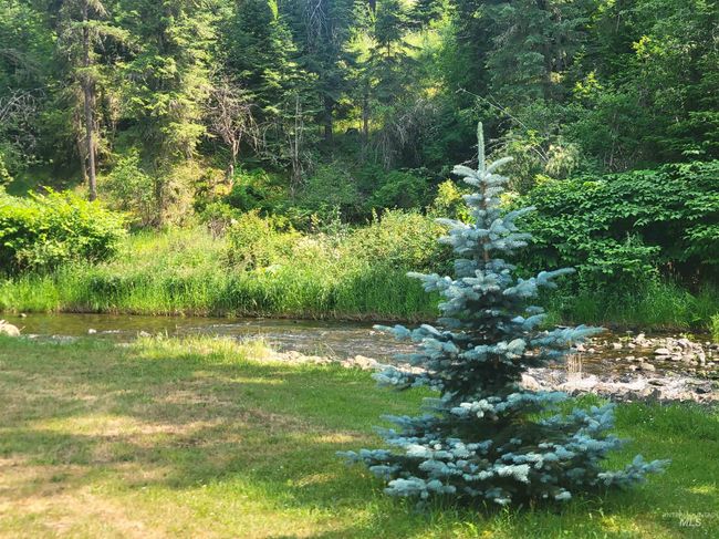 View of yard featuring a wooded view | Image 34