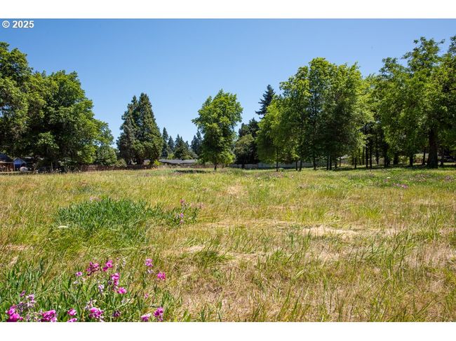 190 River Loop 1, Home with 0 bedrooms, 0 bathrooms and null parking in Eugene OR | Image 8