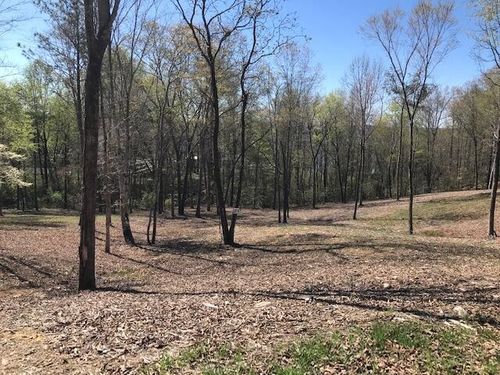 16 Piney View Dr, Spring City, TN, 37381 | Card Image