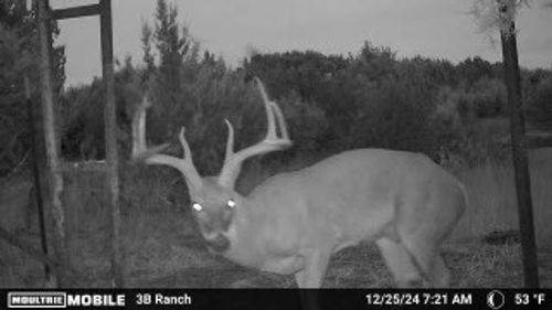 815 County Road 2080, Lometa, TX, 76853-4100 | Card Image