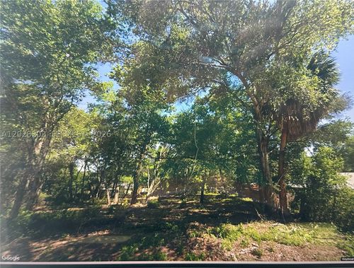 4043 E Dano St, Inverness, FL, 34453-0495 | Card Image