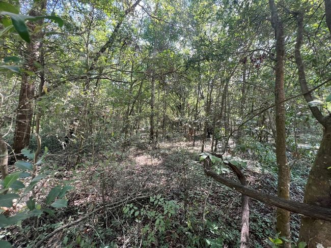 Lot 1 Old Wire Rd, Home with 0 bedrooms, 0 bathrooms and null parking in FORT WHITE FL | Image 19