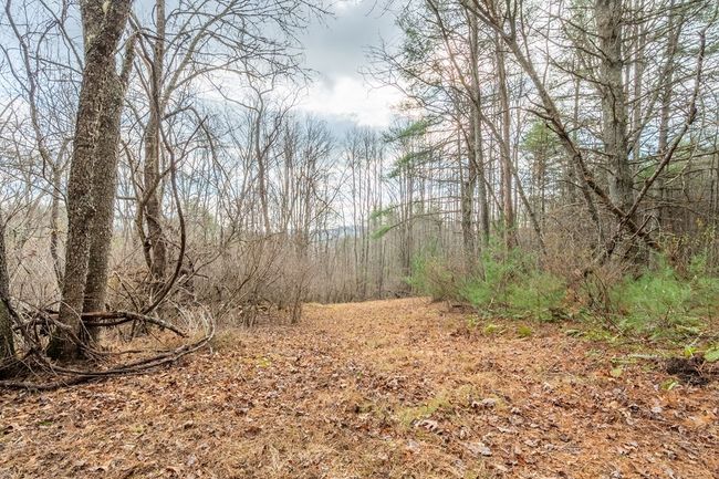000 Miriam Road, Home with 0 bedrooms, 0 bathrooms and null parking in Dugspur VA | Image 6