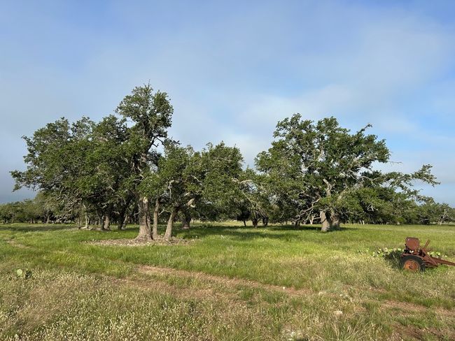 View of yard | Image 10