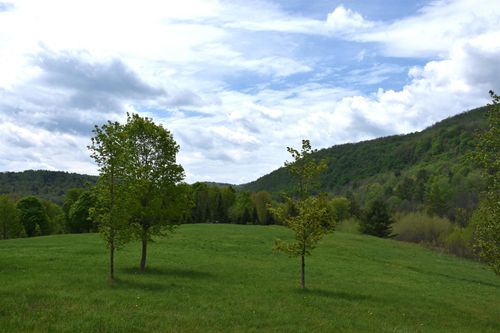 Lot B Windmill Ln, Williamstown, VT, 05679 | Card Image