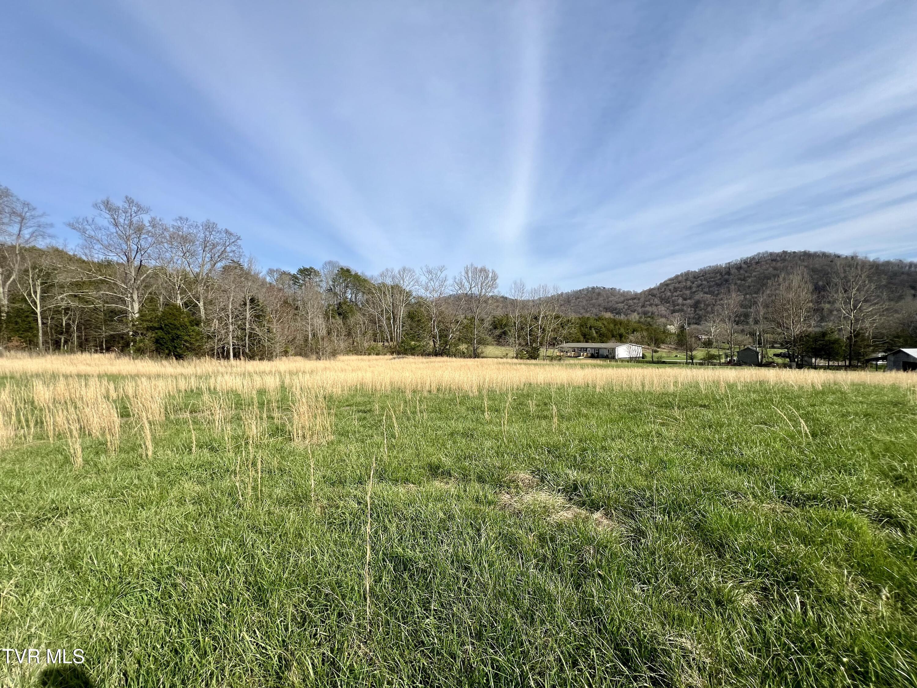 Land in Mooresburg 5