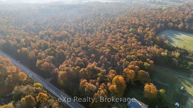 PTLT 17 Grey Road 17 N/A, Home with 0 bedrooms, 0 bathrooms and null parking in Georgian Bluffs ON | Image 11