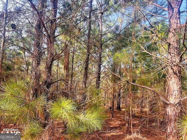 0 County Road 36, Home with 0 bedrooms, 0 bathrooms and null parking in Eufaula AL | Image 20