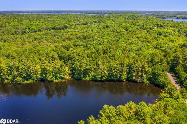 29 Bear Lake Rd, Home with 0 bedrooms, 0 bathrooms and null parking in Mactier ON | Image 6
