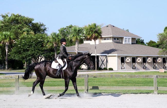 Equestrian_4 | Image 40
