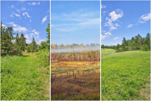 XXX County Road 134, Pine River, MN, 56474-2068 | Card Image