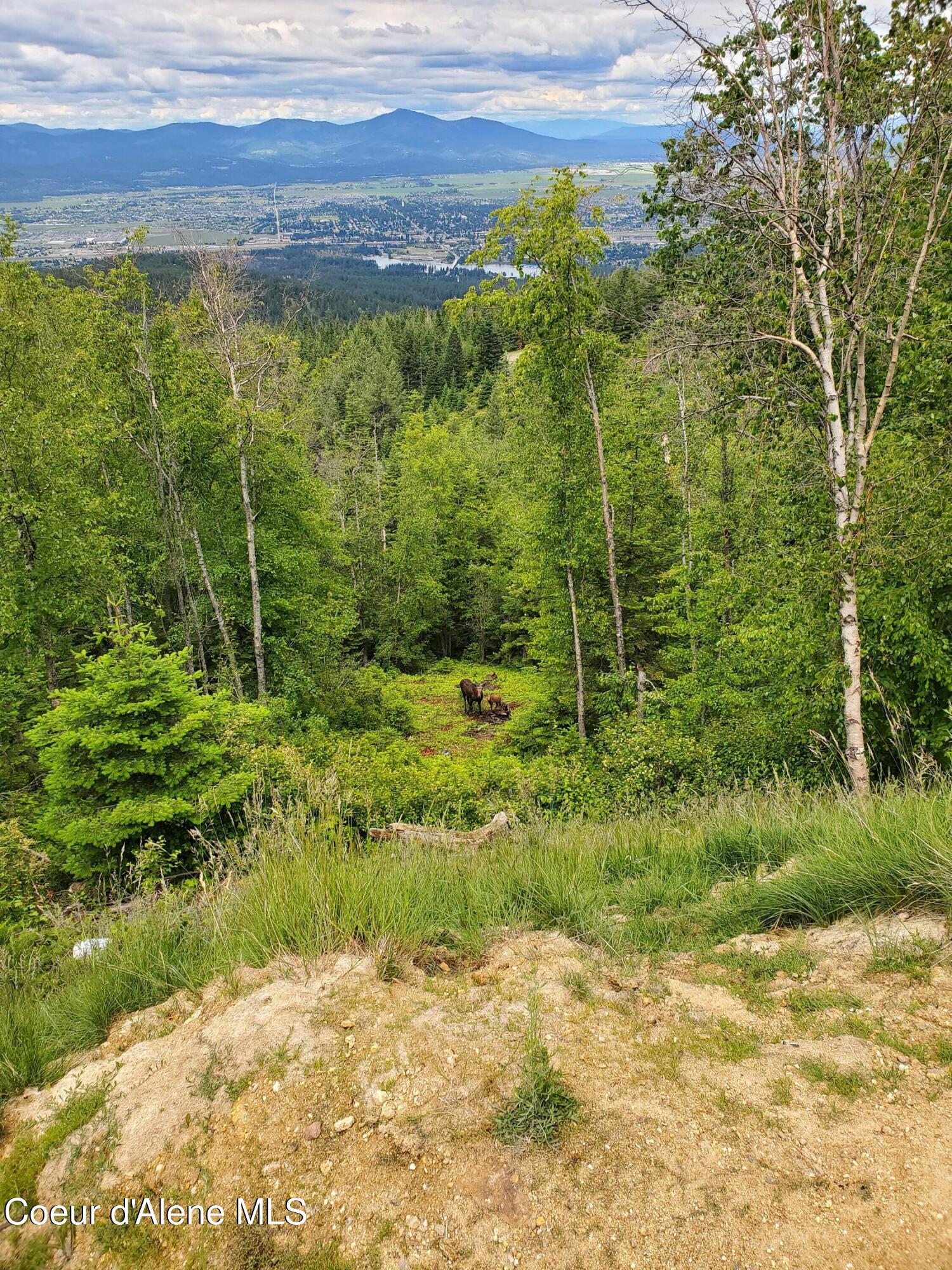 Land in Post Falls 5