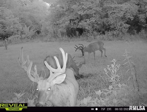 000 County Highway 7 County Road, Cisne, IL, 62823 | Card Image