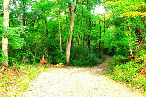 10415 E Miami River Rd, Colerain Twp, OH, 45252-1756 | Card Image