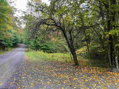 Lot 16 Black Bear Trail, Home with 0 bedrooms, 0 bathrooms and null parking in Davis WV | Image 1