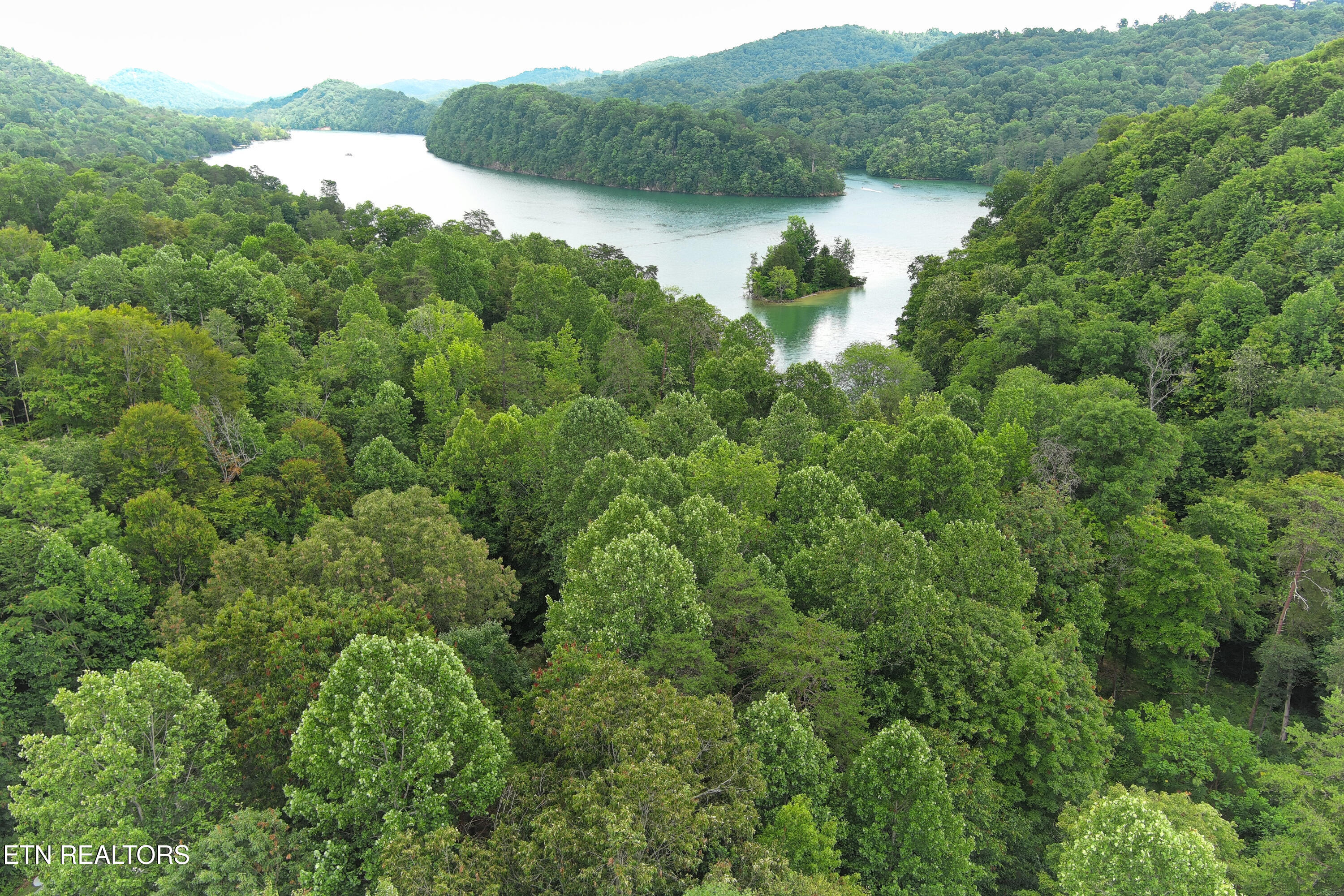 Land in Tazewell 5
