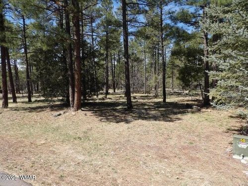 922 Pine Creek Dr, Lakeside, AZ, 85929-7093 | Card Image