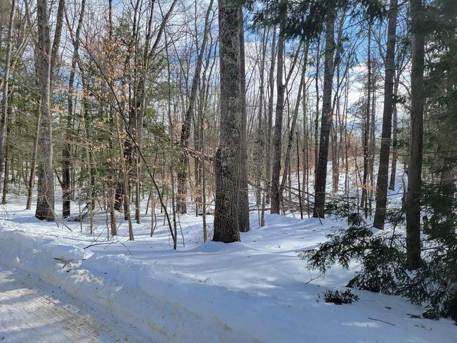 72 - 61 Canterbury Shore Drive, Home with 0 bedrooms, 0 bathrooms and null parking in Canterbury NH | Image 6