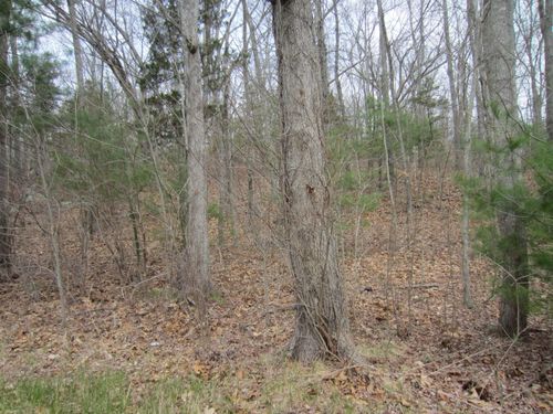 70 Cutler Rd, Killingly, CT, 06241-1303 | Card Image