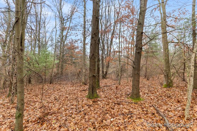 PARCEL-1 - V/L W Snows Lake Road, Home with 0 bedrooms, 0 bathrooms and null parking in Fenwick MI | Image 7