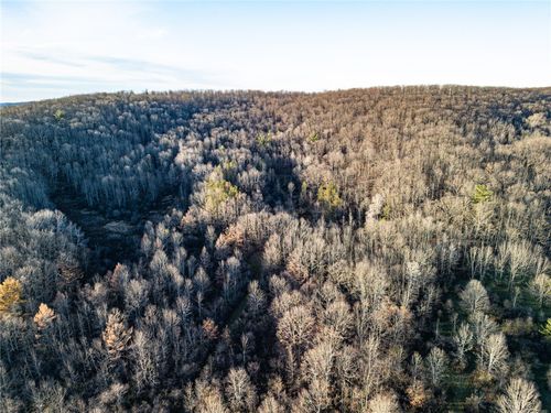 0 Ingraham Rd, Belmont, NY, 14813 | Card Image