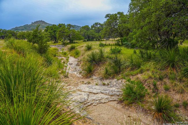 1401 Cedar Mesa Rd, Home with 3 bedrooms, 2 bathrooms and null parking in Tarpley TX | Image 67