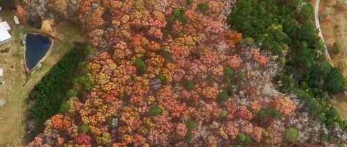 0 Bailey Cir, Loganville, GA, 30052 | Card Image