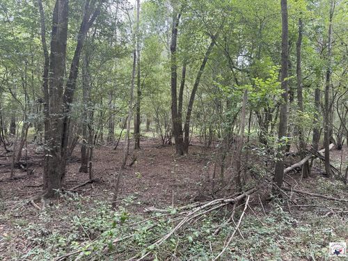 TBD Cr 4126, New Boston, TX, 75770 | Card Image
