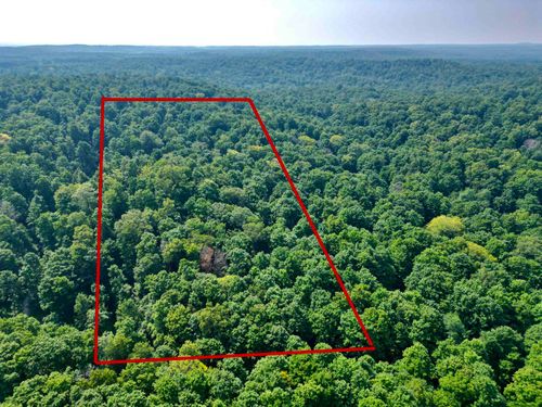 10 Acres VL Wildwood, Custer Township, MI, 49659 | Card Image