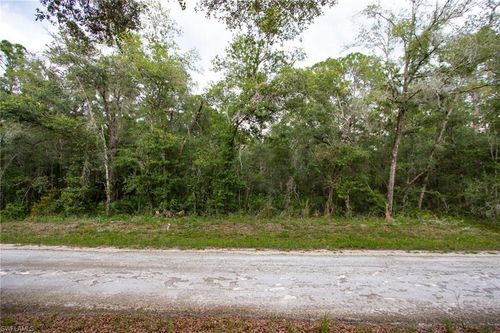 7398 Southeast Ave, WEBSTER, FL, 33597 | Card Image