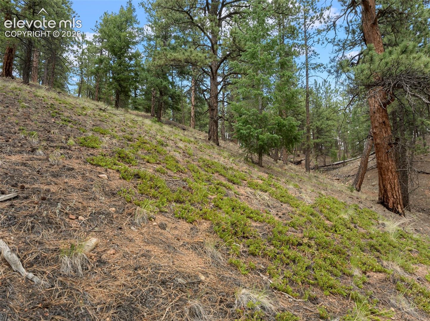 Land in Sedalia 5