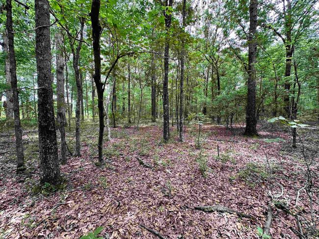 000 Oak Dale Rd, Home with 0 bedrooms, 0 bathrooms and null parking in Lonoke AR | Image 31