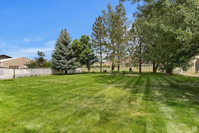 View of yard | Image 29