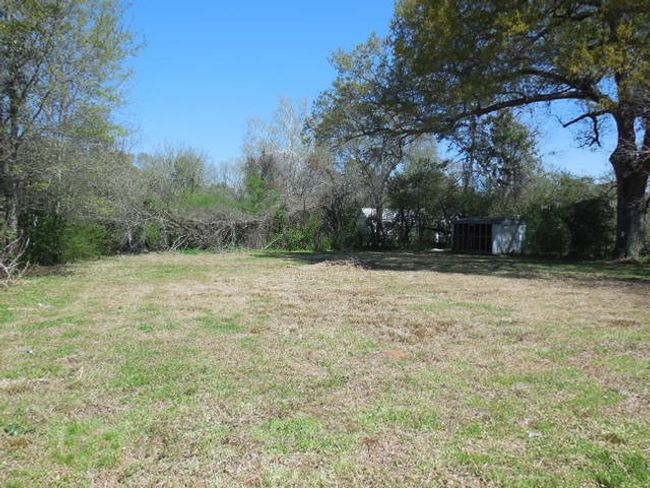 View of yard | Image 12