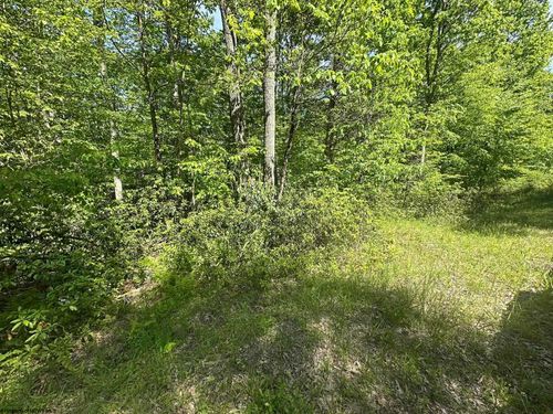 Lot 65 Pine Dr, Terra Alta, WV, 26764-2670 | Card Image
