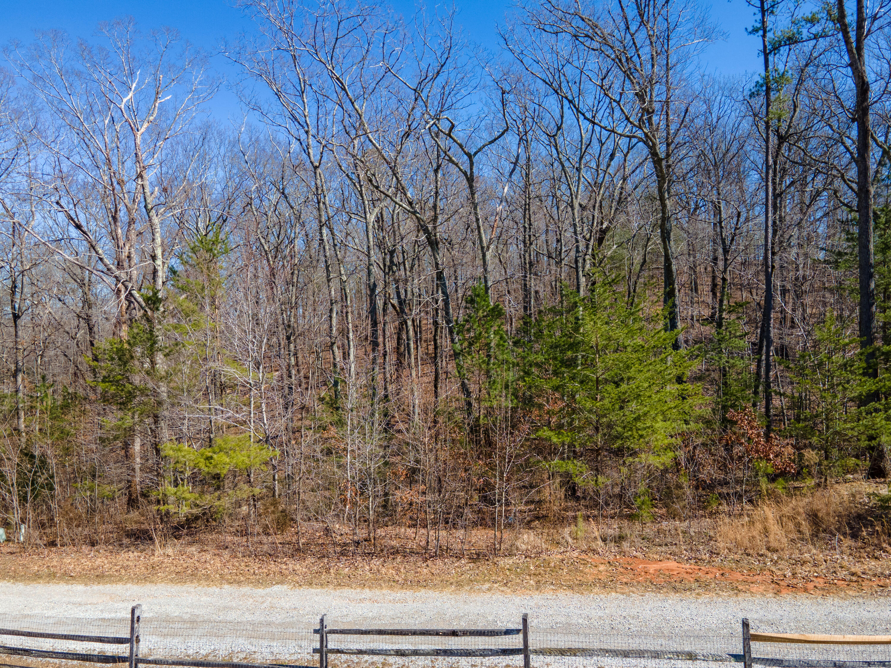 Land in Chickamauga 4