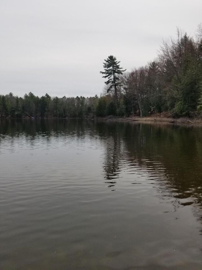 15 W 12 Mile Rd, Home with 0 bedrooms, 0 bathrooms and null parking in Irons MI | Image 17