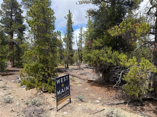 341 Lodgepole Dr, Leadville, CO, 80461-9233 | Card Image