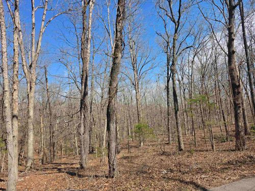 L18 B4 Powhatan Drive, Cherokee Village, AR, 72529 | Card Image