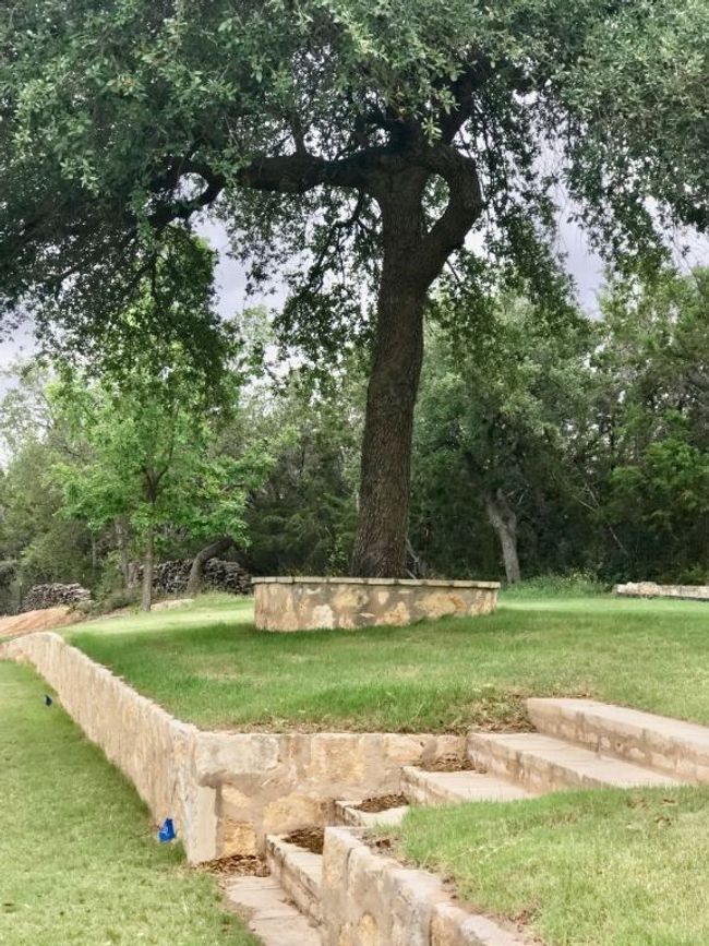 Automatic sprinkler system in the manicured portions of lawn (front and back). Terraced lawns and patios | Image 38